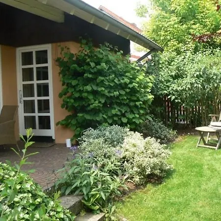 Am Odenwaldlimes Vielbrunn