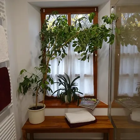 Apartment Am Odenwaldlimes *